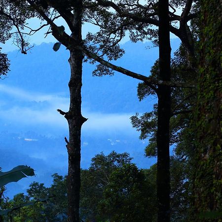 Madhumanthra Resort - Homestay Munnar Eksteriør bilde