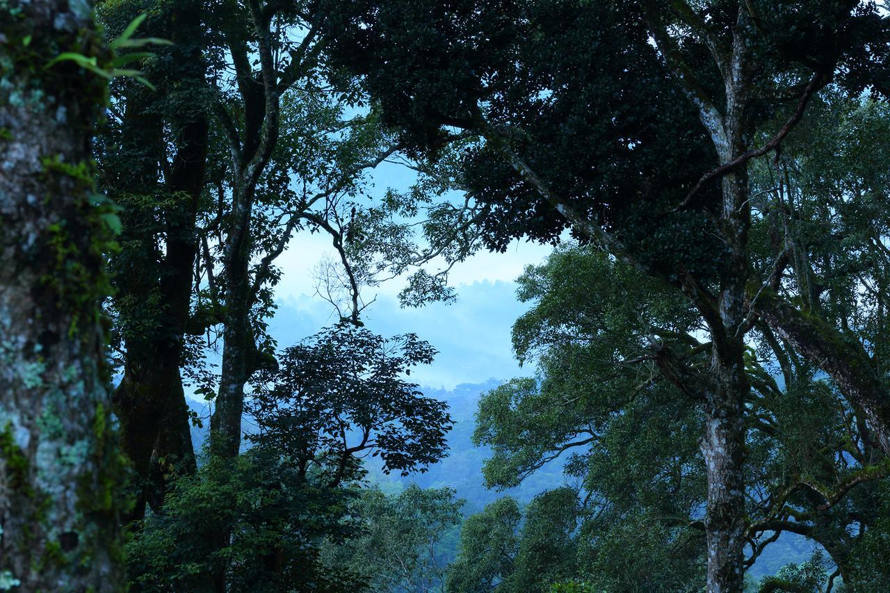 Madhumanthra Resort - Homestay Munnar Eksteriør bilde