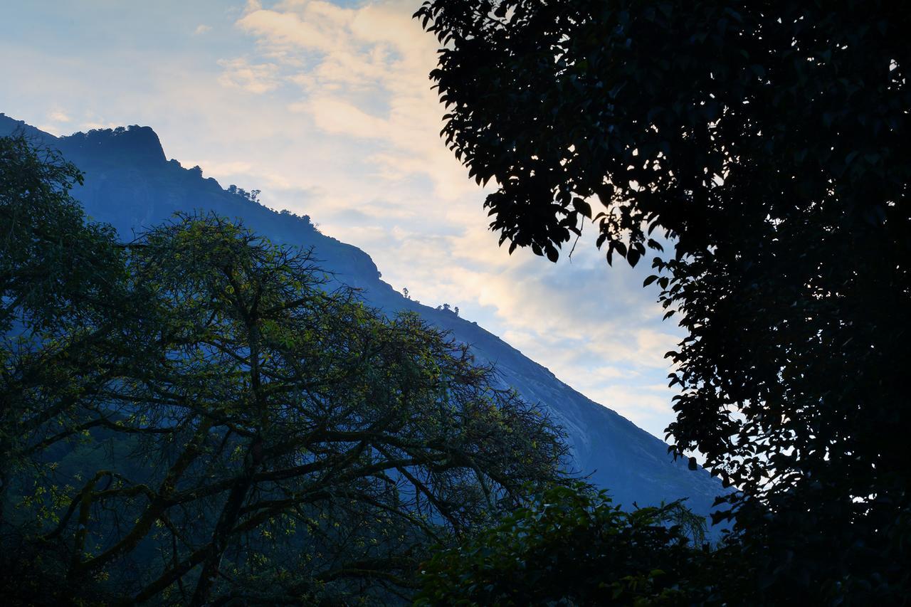 Madhumanthra Resort - Homestay Munnar Eksteriør bilde