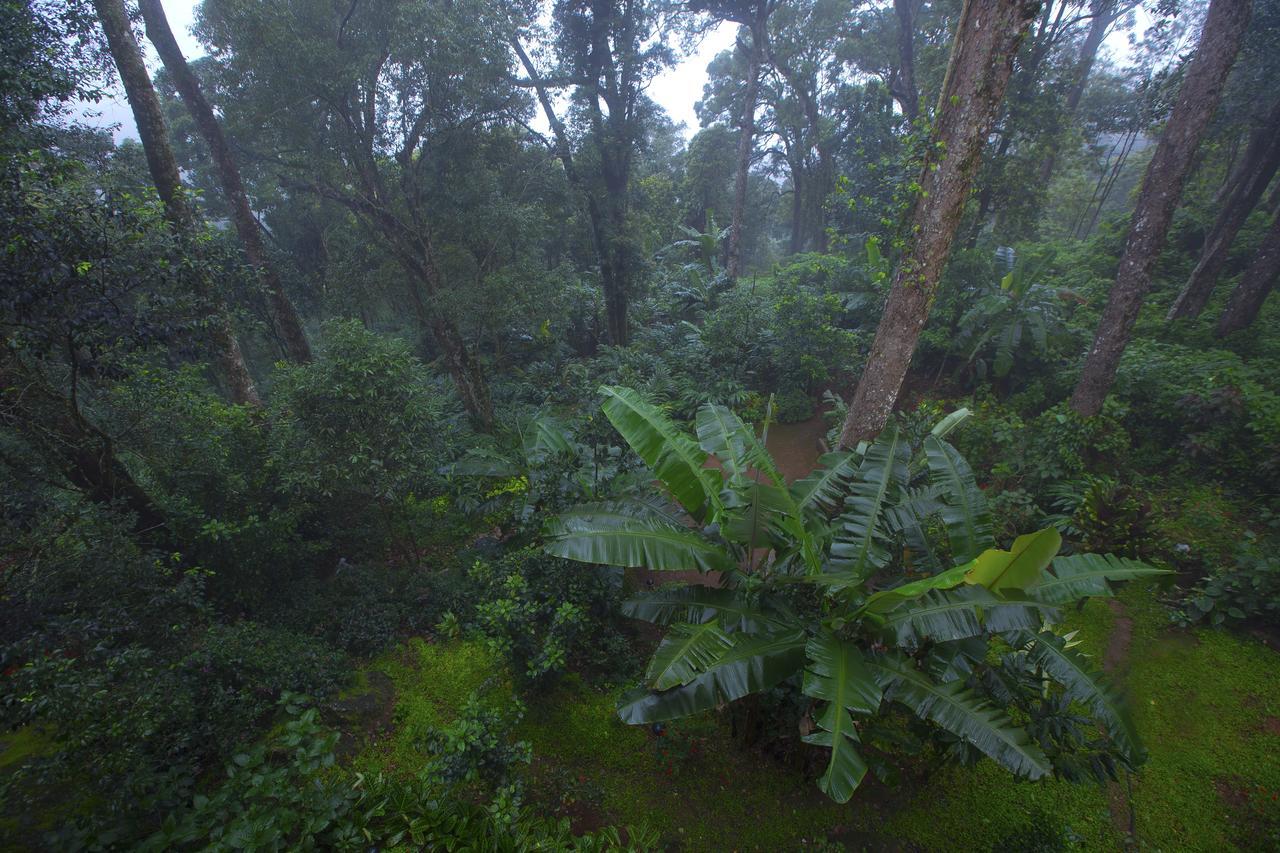 Madhumanthra Resort - Homestay Munnar Eksteriør bilde