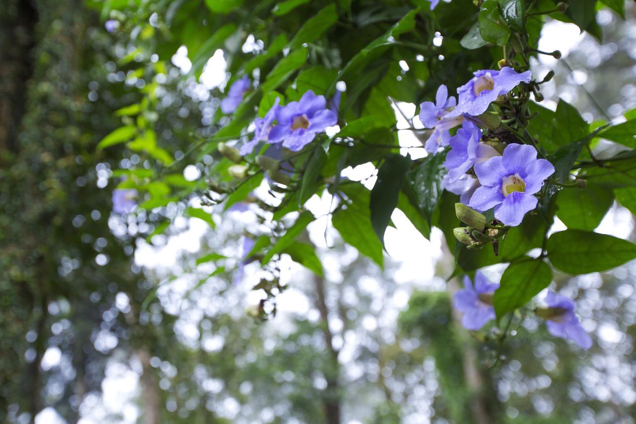 Madhumanthra Resort - Homestay Munnar Eksteriør bilde